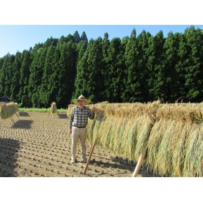 菊池掛け干し清流米　白米　10kg