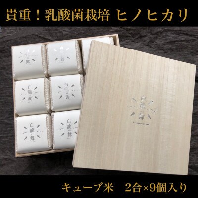 【乳酸菌栽培】熊本県産ヒノヒカリ『白龍の舞』キューブ米 2合(300g)×9個