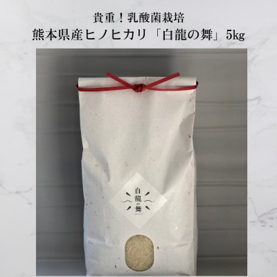 【乳酸菌栽培】熊本県産ヒノヒカリ『白龍の舞』5kg