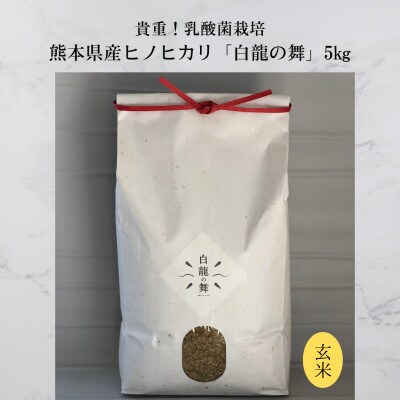 【乳酸菌栽培】熊本県産ヒノヒカリ『白龍の舞』玄米 5kg
