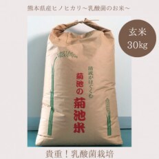 【令和4年産】乳酸菌で栽培した『白龍の舞』 熊本県産ヒノヒカリ　玄米　30kg