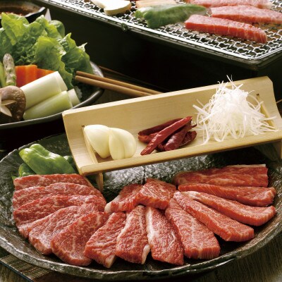 【毎月定期便】GI認証くまもとあか牛　焼肉用400g(菊池市)全6回