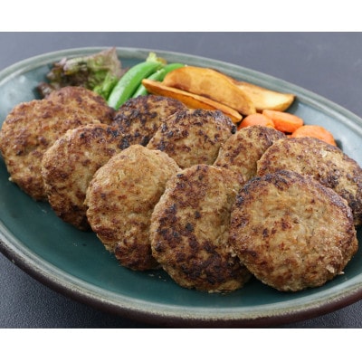 【毎月定期便】馬肉ハンバーグ　150g×10個(菊池市)全3回