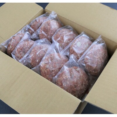 【毎月定期便】馬肉ハンバーグ　150g×10個(菊池市)全6回