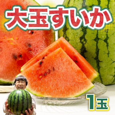 大玉すいか　1玉　約4～6kg(菊池市)