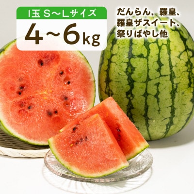 大玉すいか　1玉　約4～6kg(菊池市)