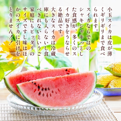 小玉スイカ 2玉(菊池市)