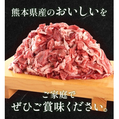 熊本県産 GI認証取得 くまもとあか牛 切り落とし 合計1kg(菊池市)