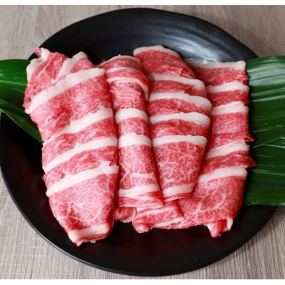 あか牛バラ切り落としセット(あか牛バラスライス500g あか牛のたれ200ml付き)(菊池市)