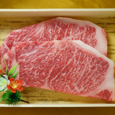 あか牛サーロインセット(あか牛サーロインステーキ200g×2枚 あか牛のたれ200ml付)(菊池市)