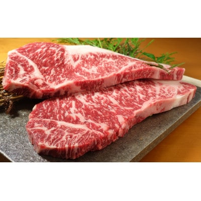 あか牛ヒレ&サーロインステーキセット(ヒレ120g×2枚、サーロイン200g×2枚)(菊池市)