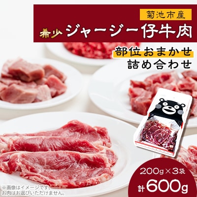 【希少】菊池市産 ジャージー仔牛肉 詰め合わせ 計600g セット 部位おまかせ