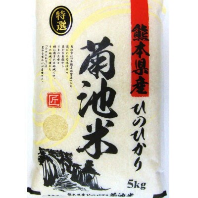 熊本県産　ひのひかり100%  5kg×2kg 10kg 送料無料　令和元年新米