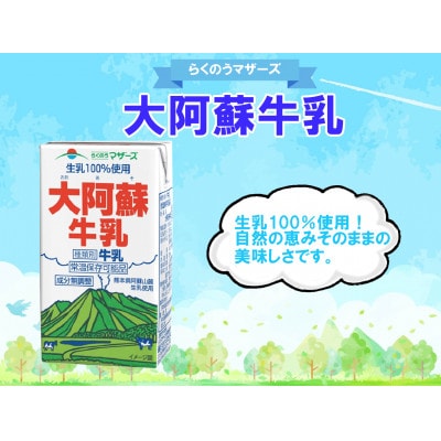 大阿蘇牛乳　250ml×24本