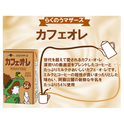カフェ・オ・レ250ml×24本