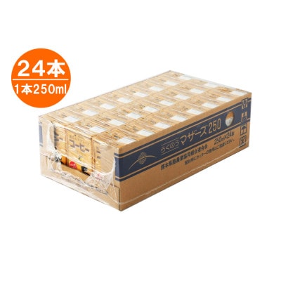 コーヒー250ml×24本(菊池市)