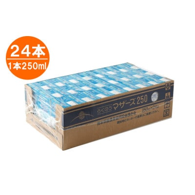 おいしいミルクバニラ 250ml×24本(菊池市)