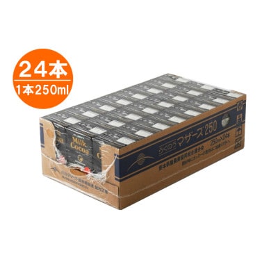 ミルクココア 250ml×24本(菊池市)