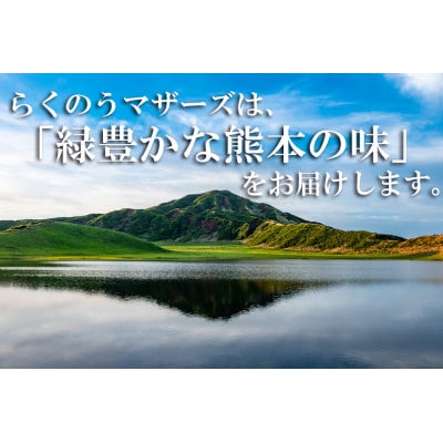 ミルクココア 250ml×24本(菊池市)