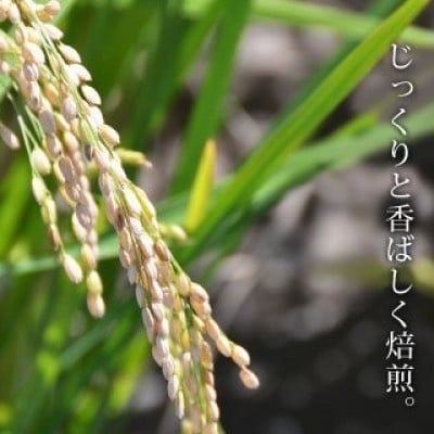 きくち村の黒炒り玄米「玄黒茶」計600g(200g×3袋)【自然派きくち村】