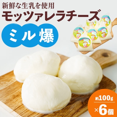 モッツァレラチーズ「ミル爆」6個