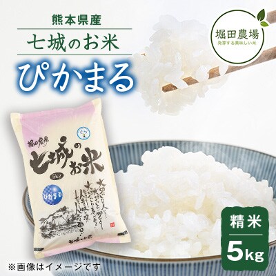 【熊本県産】 七城のお米 ぴかまる 5kg