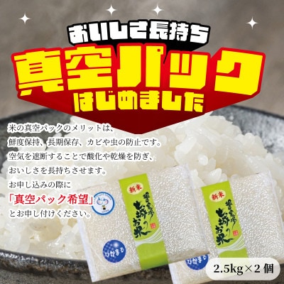 【熊本県産】 七城のお米 ぴかまる 5kg