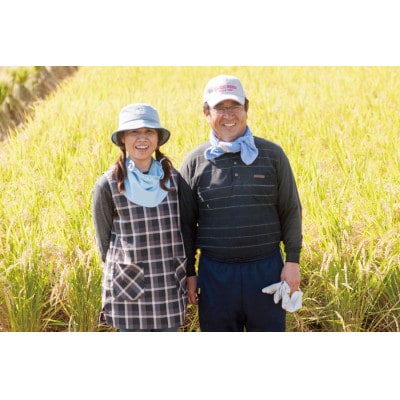 【熊本県産】 七城のお米 ぴかまる 5kg