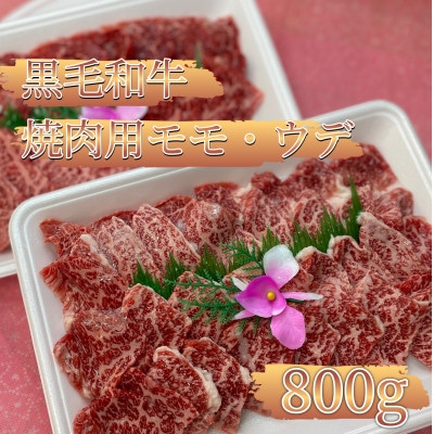 【熊本県産 黒毛和牛】焼肉用 モモ・ウデ 合計800g