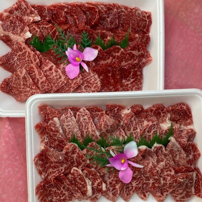 【熊本県産 黒毛和牛】焼肉用 モモ・ウデ 合計800g