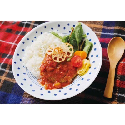 からだに優しいカフェご飯をお家で　～熊本県きくち産ごぼう使用～　手作りレトルト6個セット