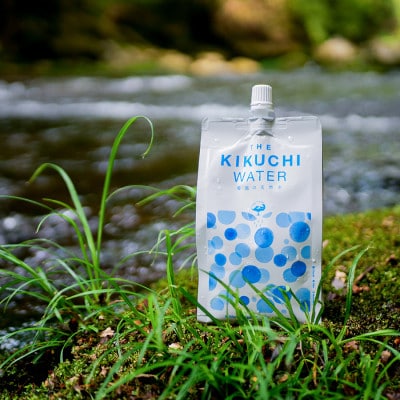 THE KIKUCHI WATER 500ml×30本 合計15L