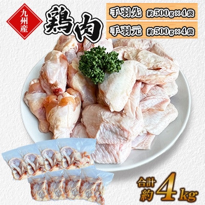 九州産若鶏　 手羽先・手羽元セット　計約4kg(菊池市)