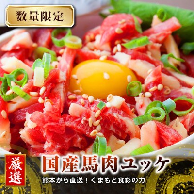 【馬刺し】熊本直送　ブロック　赤身300g・ユッケ300g　合計600g(菊池市)