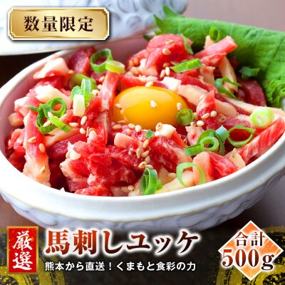 【馬刺し】熊本直送　ユッケ500g(50g×10個)　ユッケたれ付(菊池市)