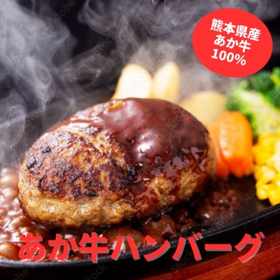 熊本県産　あか牛 ハンバーグ(150g×5個)合計5個セット(菊池市)