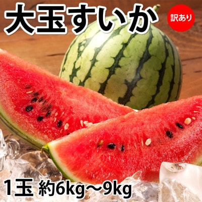 訳あり大玉すいか 1玉 約6kg～9kg【2025年5月～7月発送予定】(菊池市)