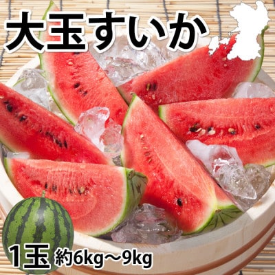 大玉すいか 秀品 1玉(約6kg～9kg)【2025年5月下旬より順次発送予定】(菊池市)