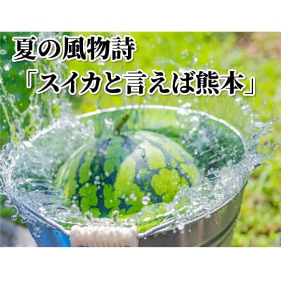 大玉すいか 秀品 1玉(約6kg～9kg)【2025年5月下旬より順次発送予定】(菊池市)