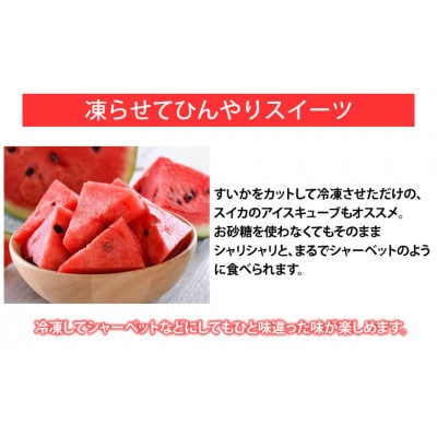 大玉すいか 秀品 1玉(約6kg～9kg)【2025年5月下旬より順次発送予定】(菊池市)