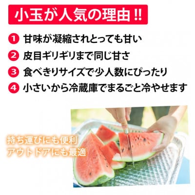 小玉すいか 秀品 2玉 約2～3kg【2025年5月～7月発送予定】(菊池市)