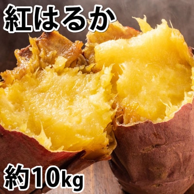 紅はるか 秀品(約10kg)(菊池市)