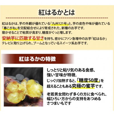 紅はるか 秀品(約10kg)(菊池市)