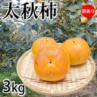 太秋柿 訳あり 約3kg【2025年10月下旬-11月下旬発送予定】(菊池市)