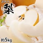 訳あり梨 約5kg サイズ混合 【2025年8月下旬より順次発送】(菊池市)