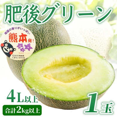 肥後グリーンメロン　4L以上　1玉(合計2kg以上)(菊池市)