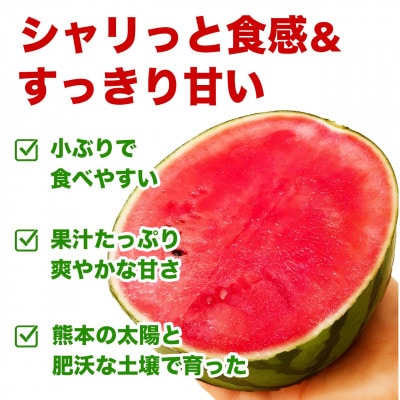 小玉すいか 1玉入り 3L 約1.5kg以上(菊池市)