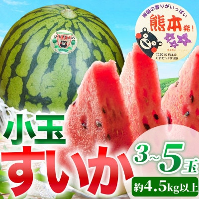 小玉すいか 3～5玉入り L以上 約4.5kg以上(菊池市)