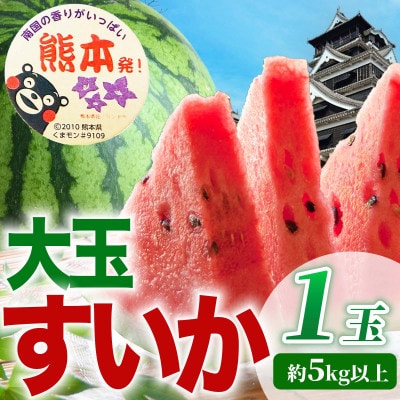 大玉すいか 1玉入り L以上 約5kg以上(菊池市)