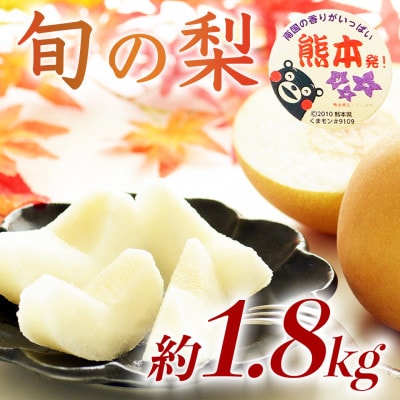 旬の梨 品種おまかせ 5～7玉 約1.8kg(菊池市)